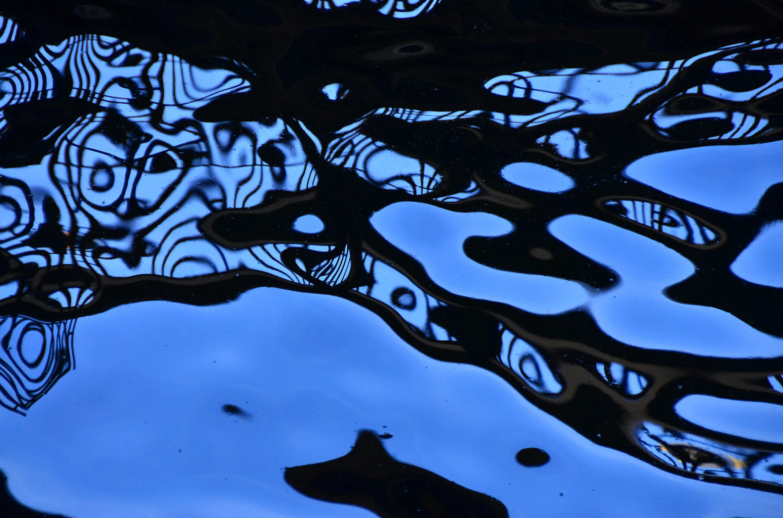 shades of blue – #3