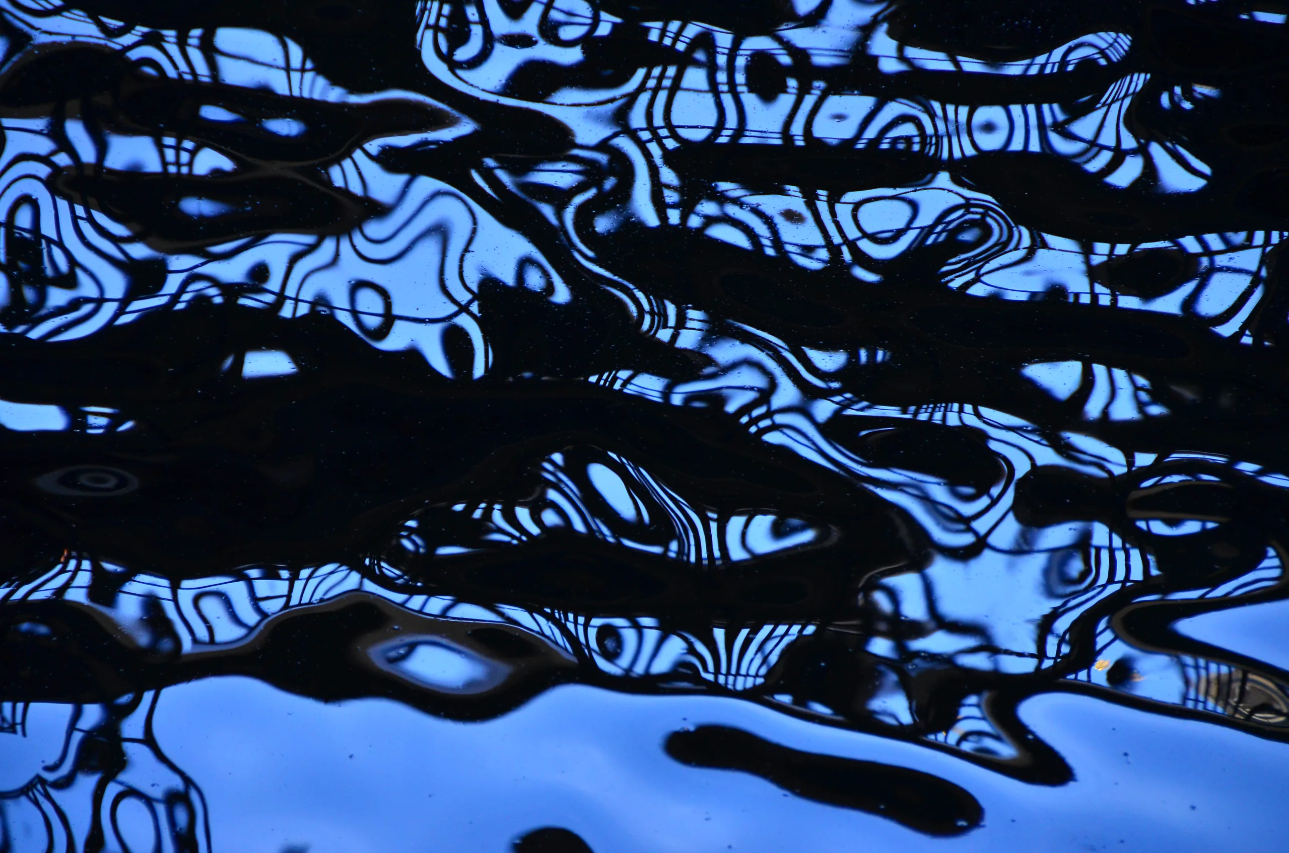 Vibrant Waves