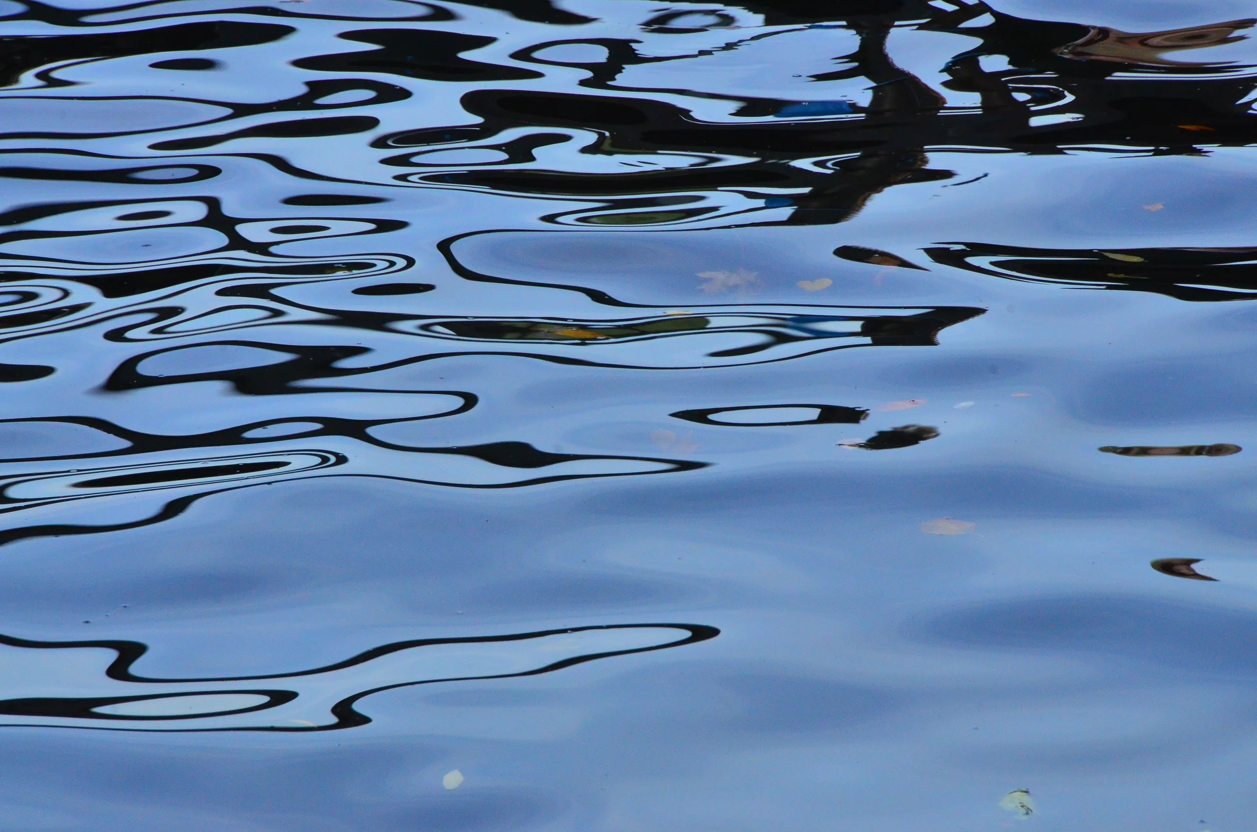 blue and black – #3