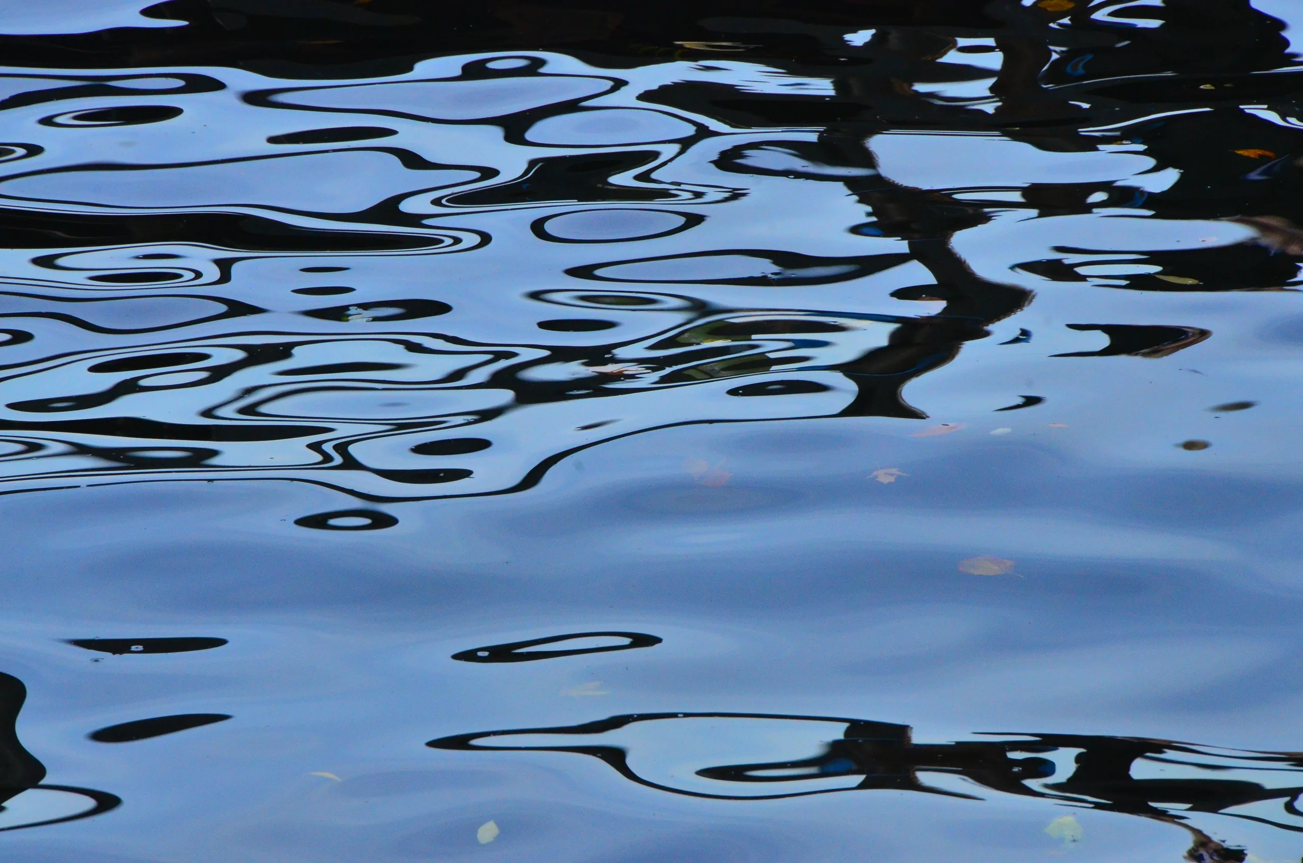 blue and black – #2